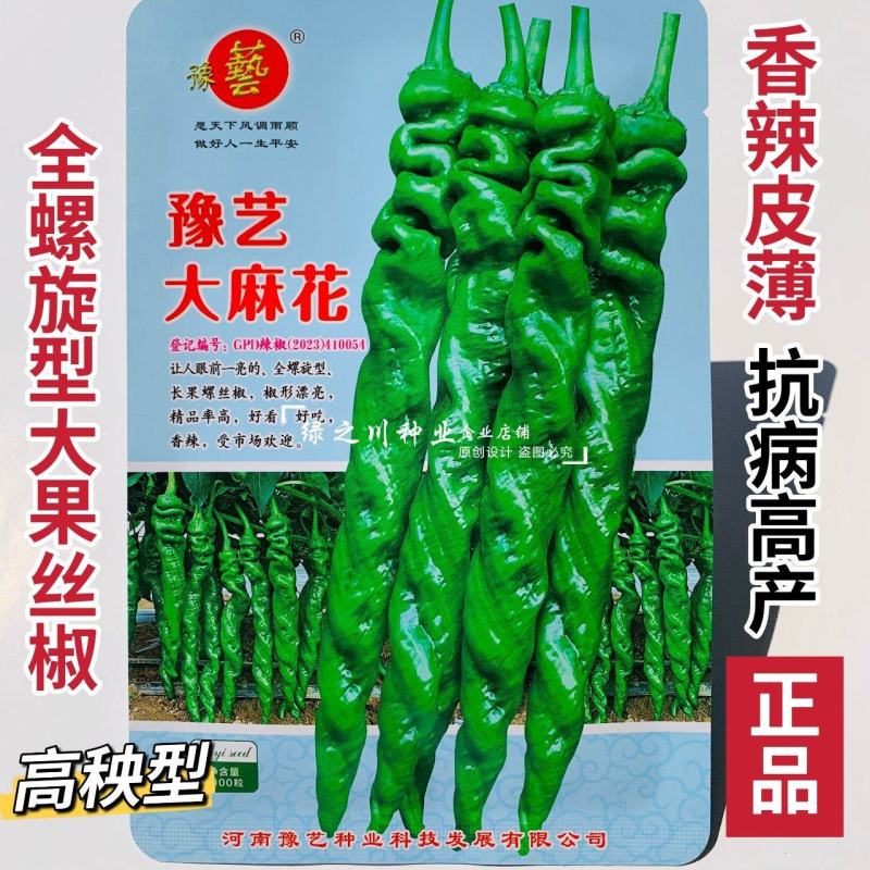 高秧螺丝椒种子真正的大陇椒豫艺大麻花螺丝椒种子全螺型