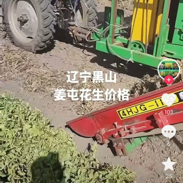 新玉米开始收割，需要的联系