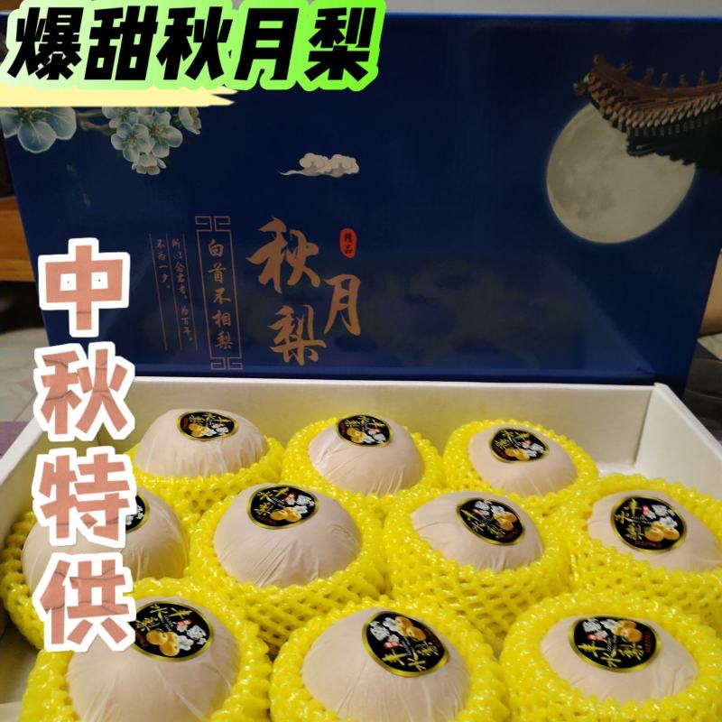 精品秋月梨/丰水梨/产地直发脆甜多汁对接社团电商