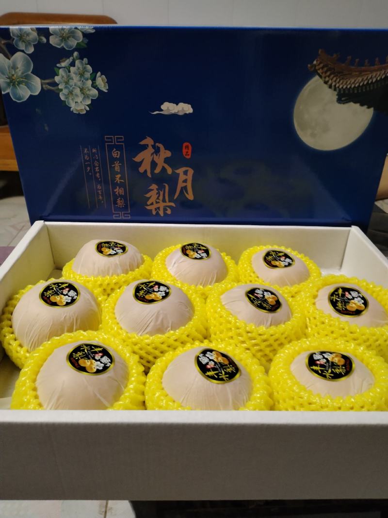 精品秋月梨/丰水梨/产地直发脆甜多汁对接社团电商