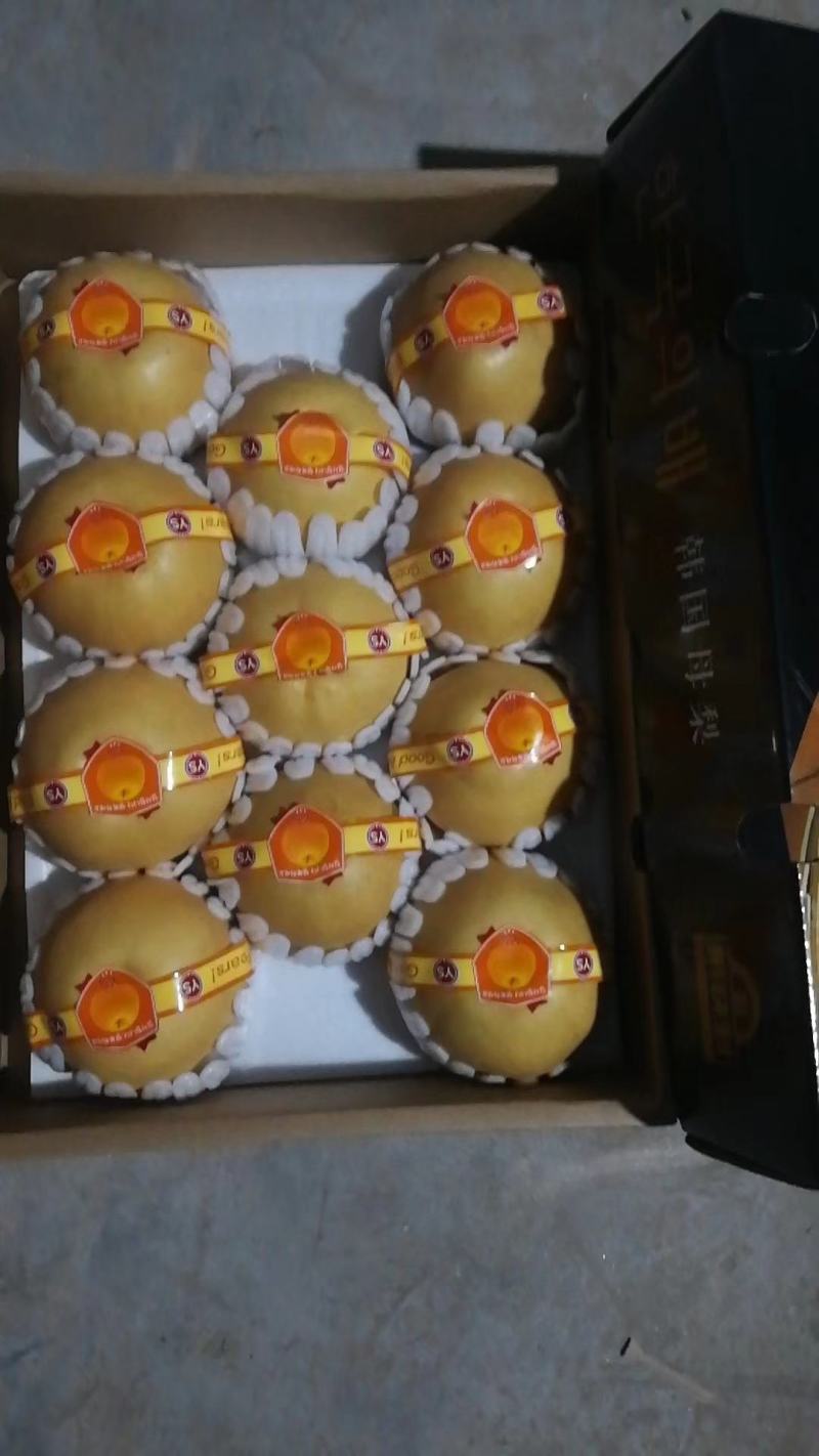 精品秋月梨/丰水梨/产地直发脆甜多汁对接社团电商
