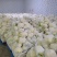 有机花/白面青梗松花菜2~3斤散花乳白