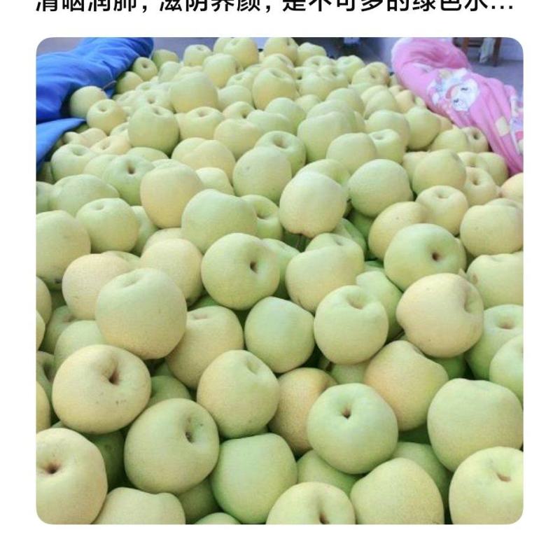 75以上光梨