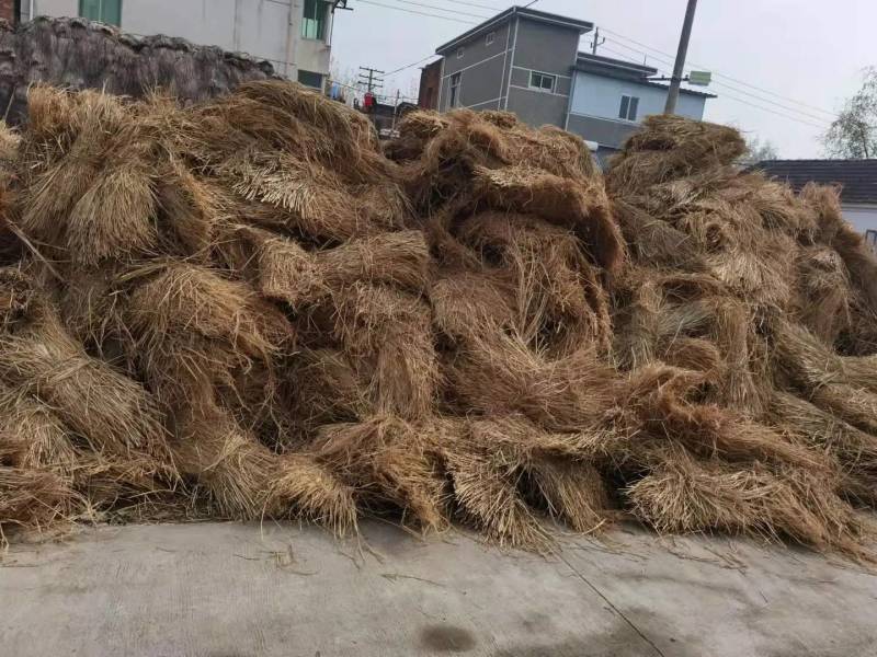 优质稻草