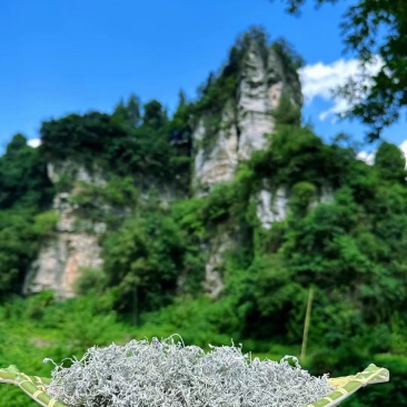 张家界莓茶野山藤茶