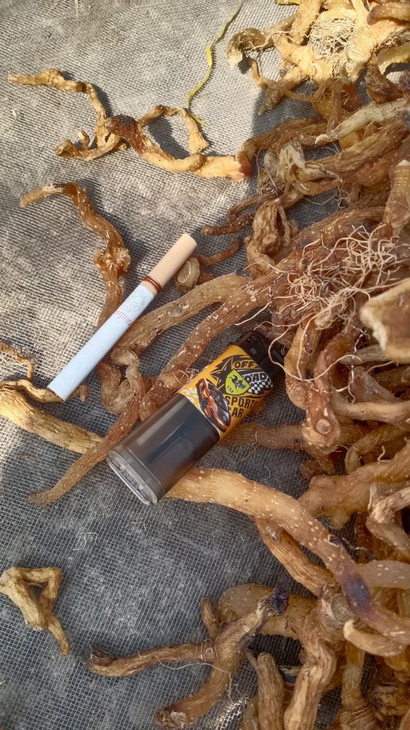 玉竹熟货