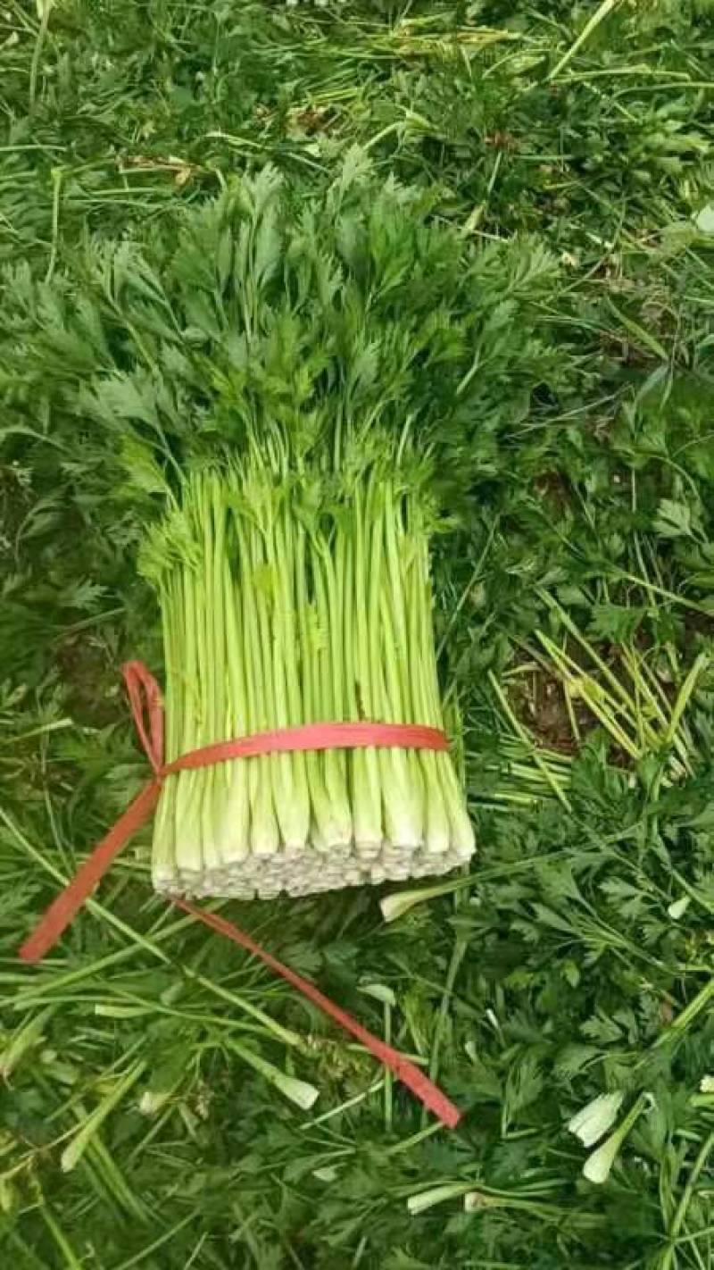 芹菜便宜了