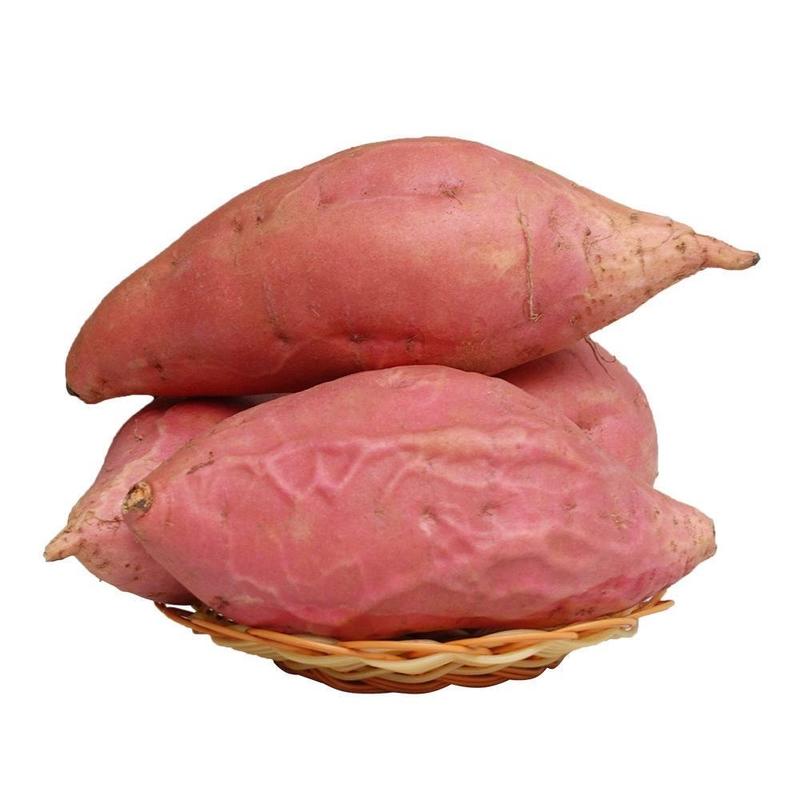 西瓜红红薯板栗薯龙九哈密红薯烟薯产地依质论价