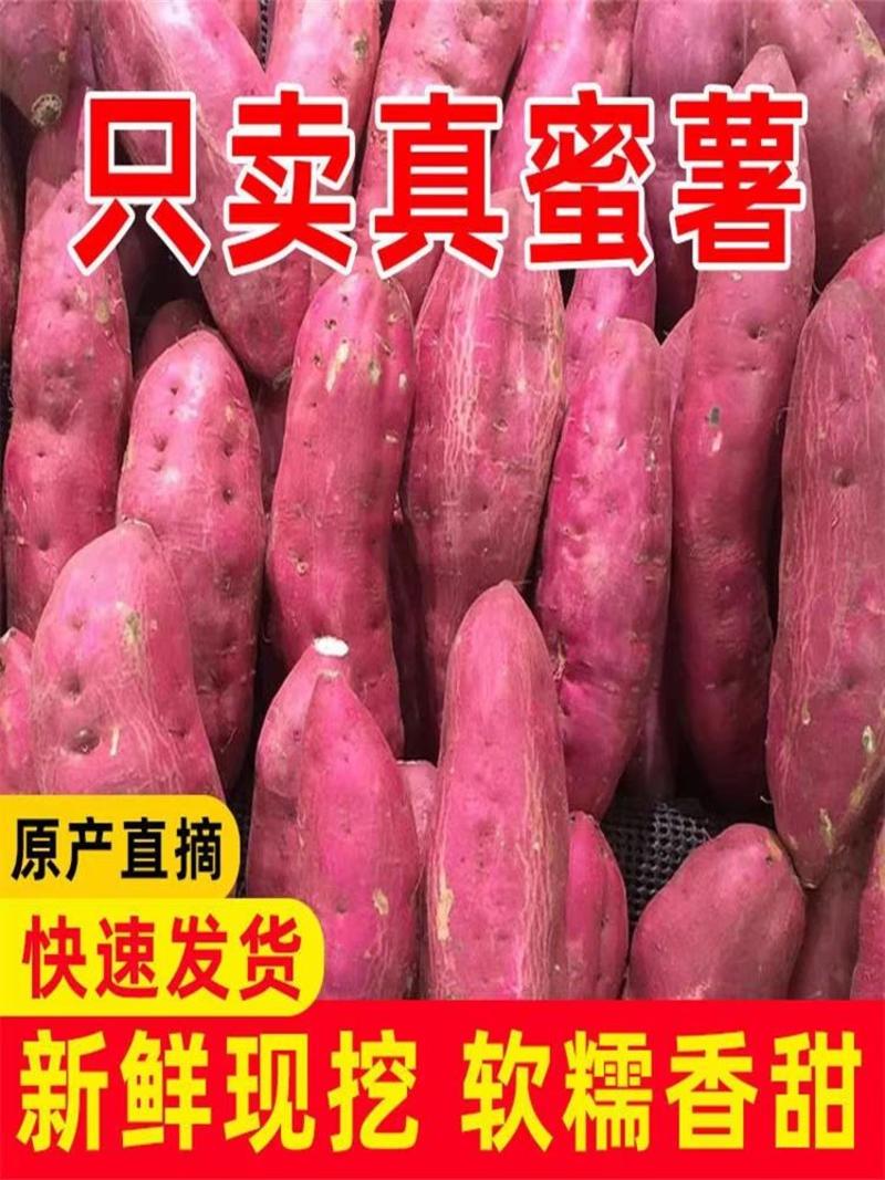 西瓜红红薯板栗薯龙九哈密红薯烟薯产地依质论价