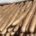 宁夏精品白玉山药大量上市品质保证一手货源量大从优