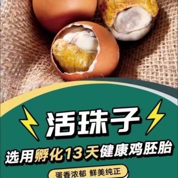 五香活珠子，五香茶叶蛋
