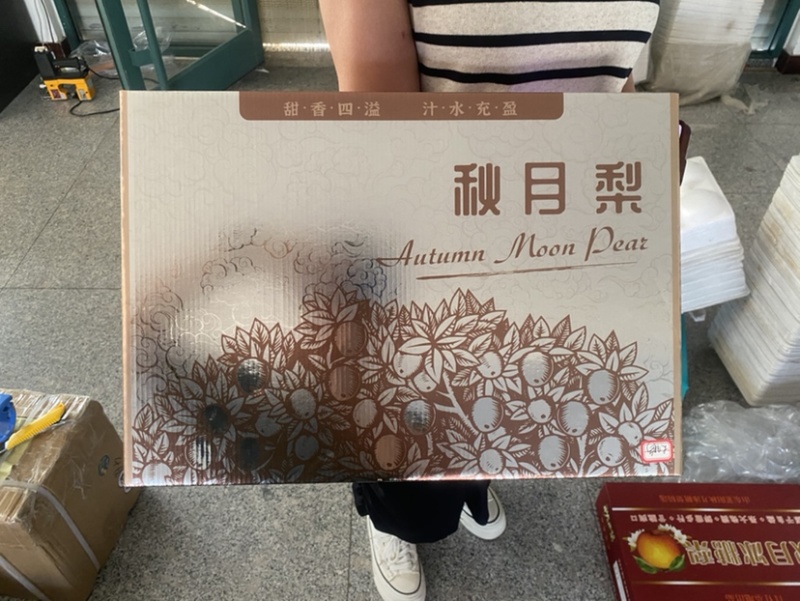 山东秋月梨糖度13以上化渣非常好