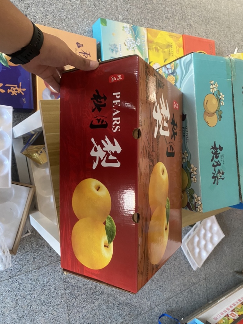 山东秋月梨糖度13以上化渣非常好