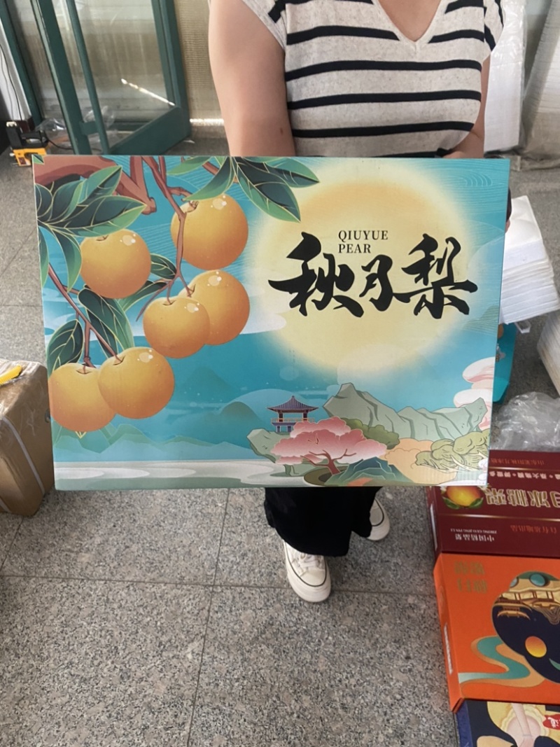 山东秋月梨糖度13以上化渣非常好