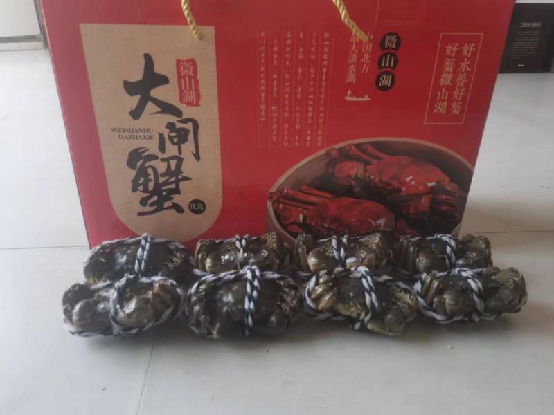 微山湖大闸蟹