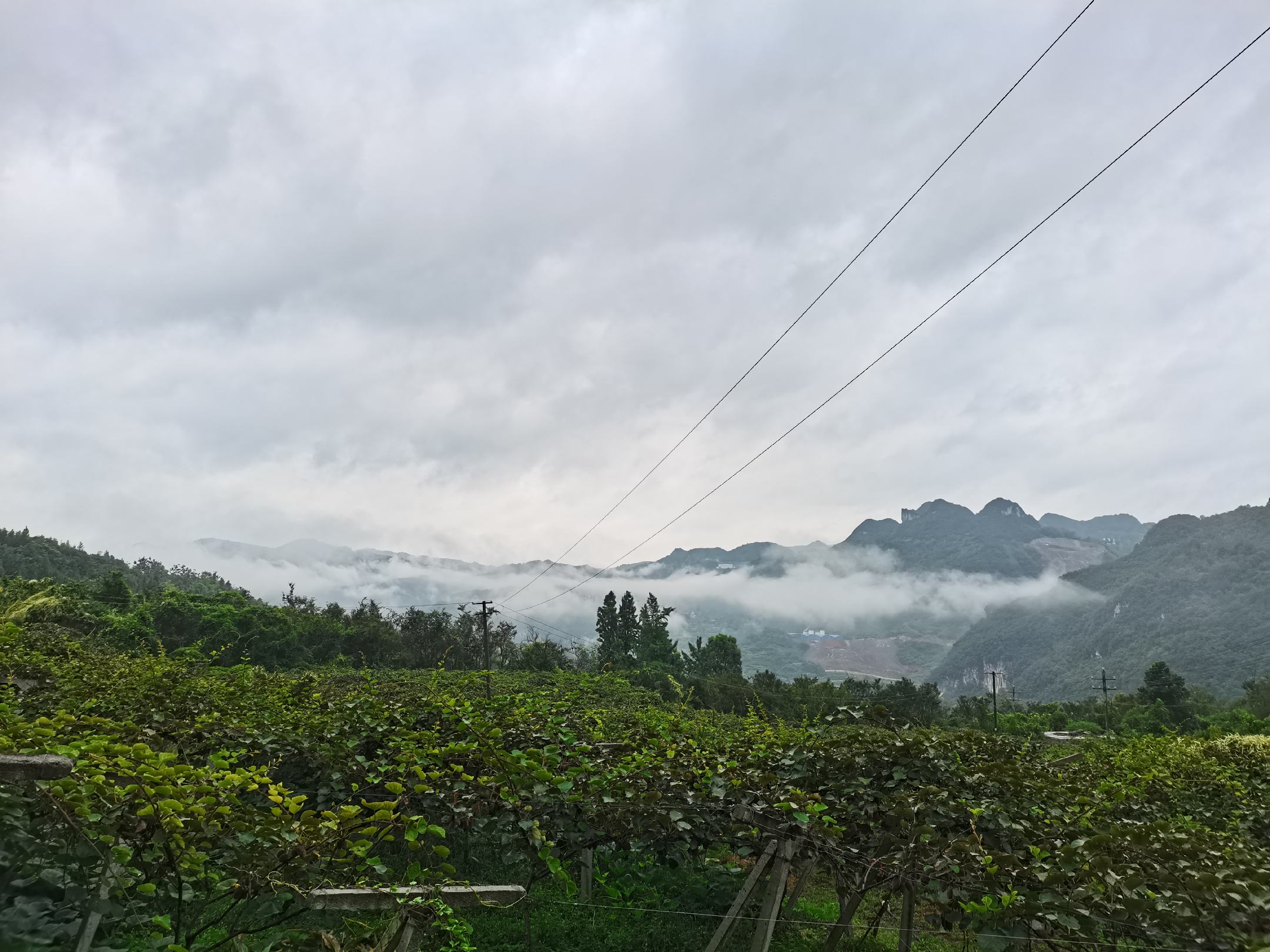 贵长猕猴桃果园航拍图