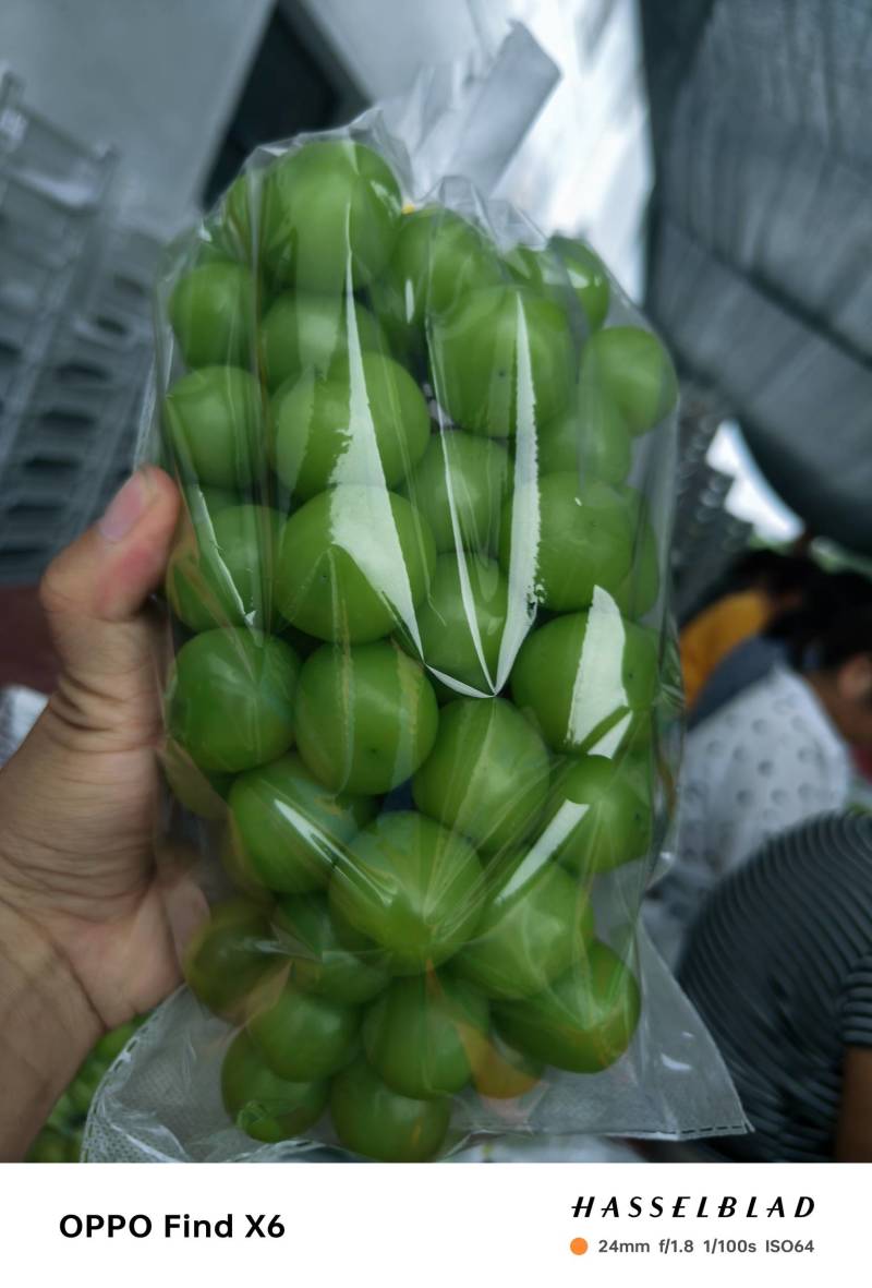 阳光玫瑰葡萄