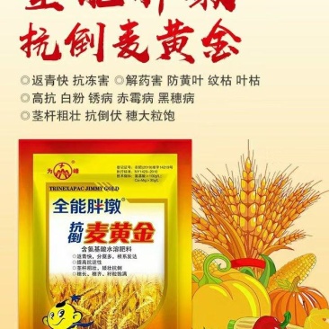为峰抗倒麦黄金小麦专用叶面肥增产提质