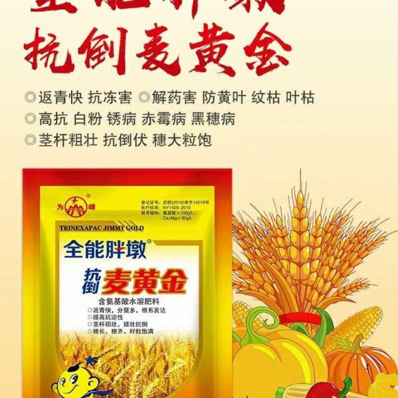 为峰抗倒麦黄金小麦专用叶面肥增产提质