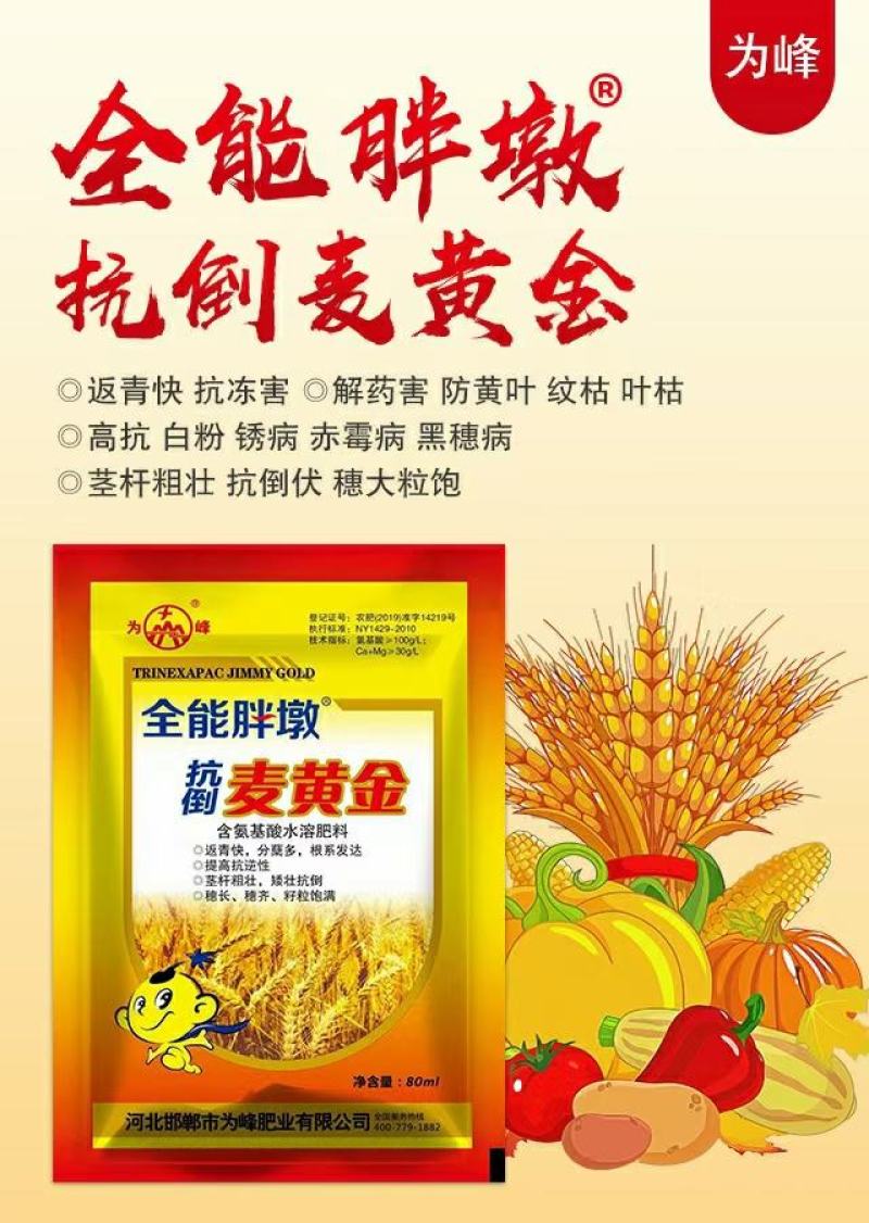 为峰抗倒麦黄金小麦专用叶面肥增产提质