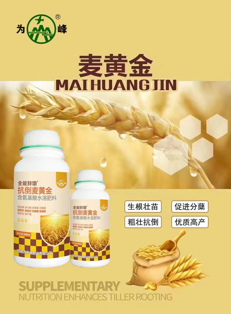 为峰抗倒麦黄金小麦专用叶面肥增产提质