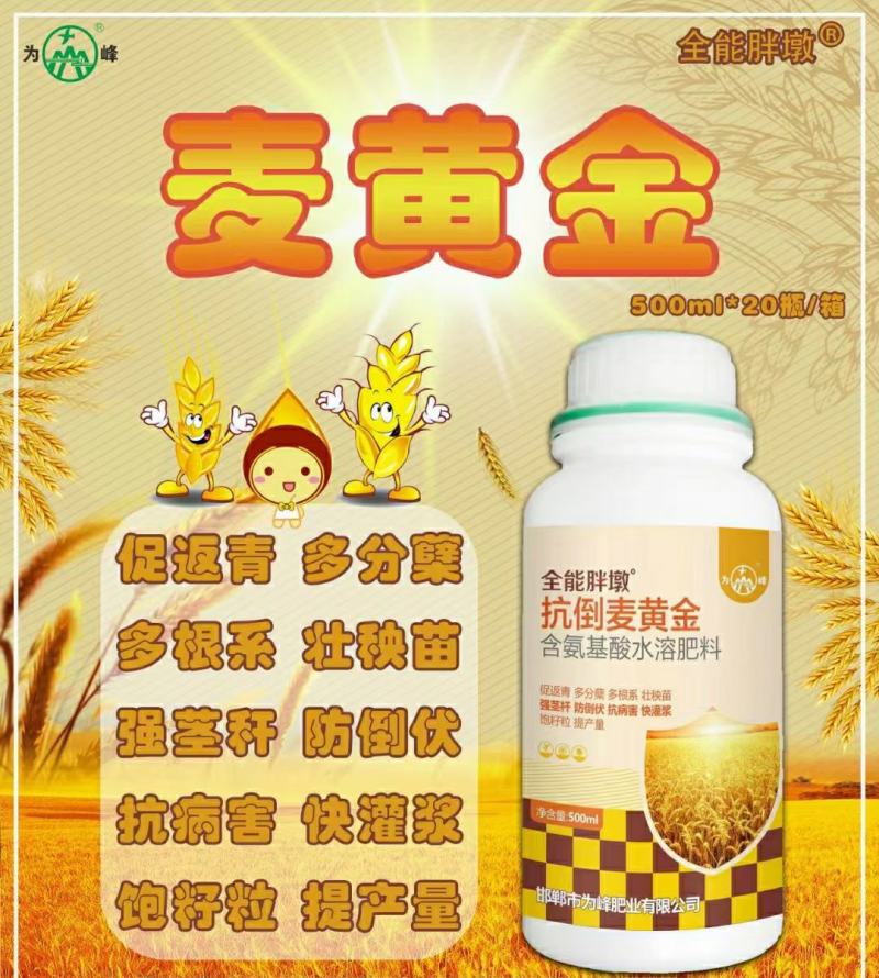 为峰抗倒麦黄金小麦专用叶面肥增产提质