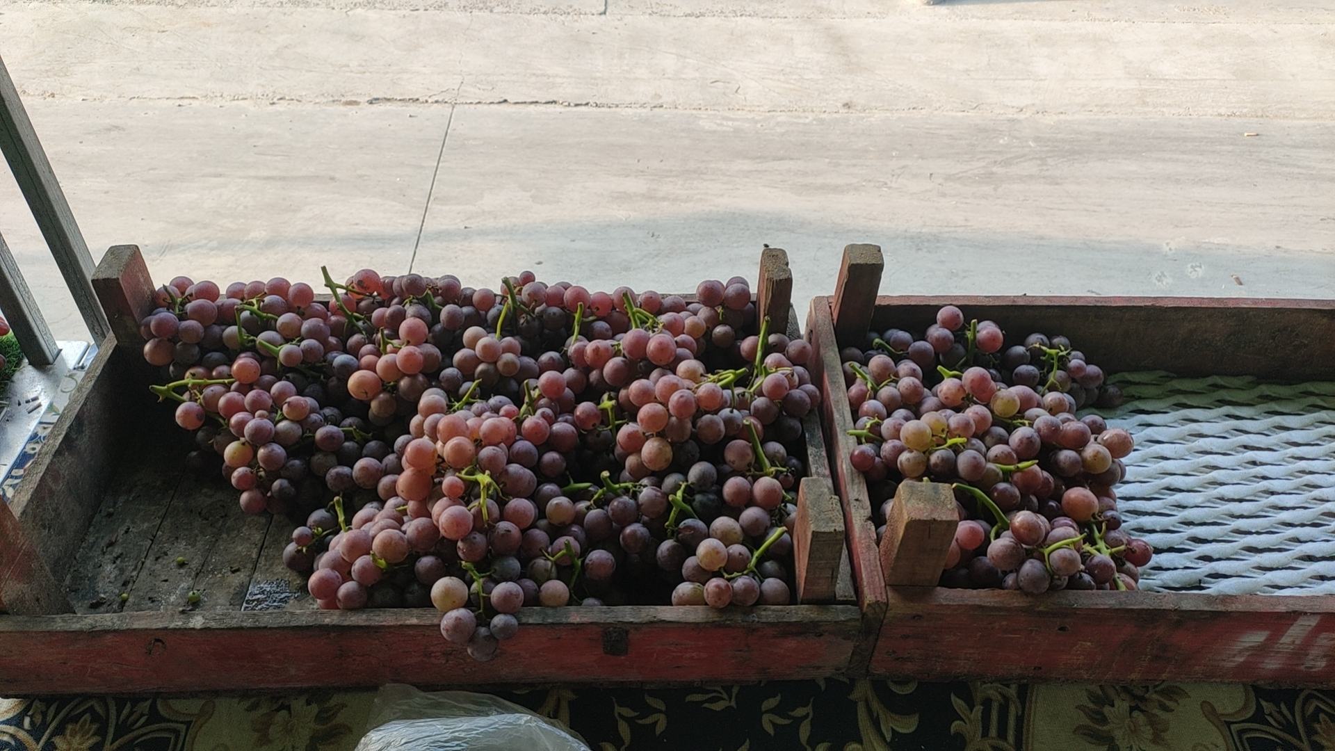 巨峰葡萄与葡萄酒对比图