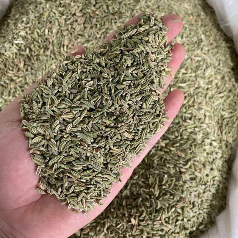 广西玉林精品【小茴香】对接电商市场商超等各类客户