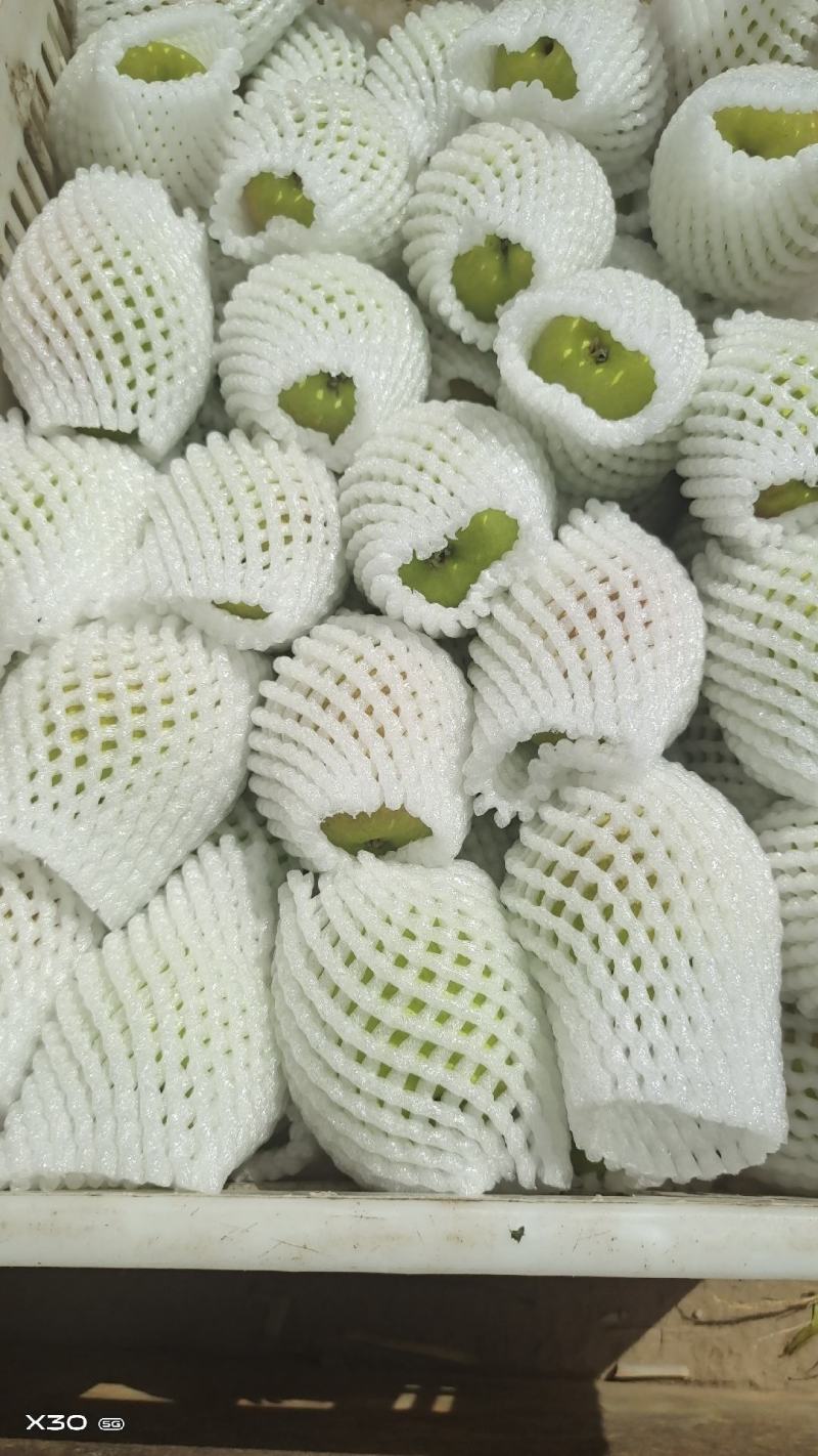 库尔勒香梨