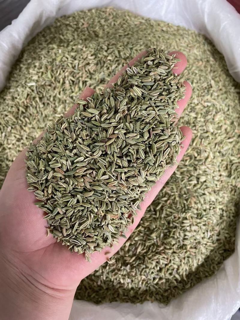 广西玉林精品【小茴香】对接电商市场商超等各类客户