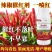 辣椒一喷红催红剂辣椒专用一喷红叶面肥辣椒催红药剂快速催红