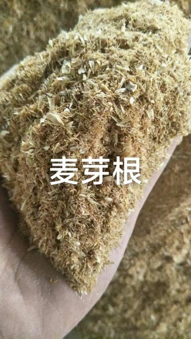 芝麻粕，蛋白43以上水分12