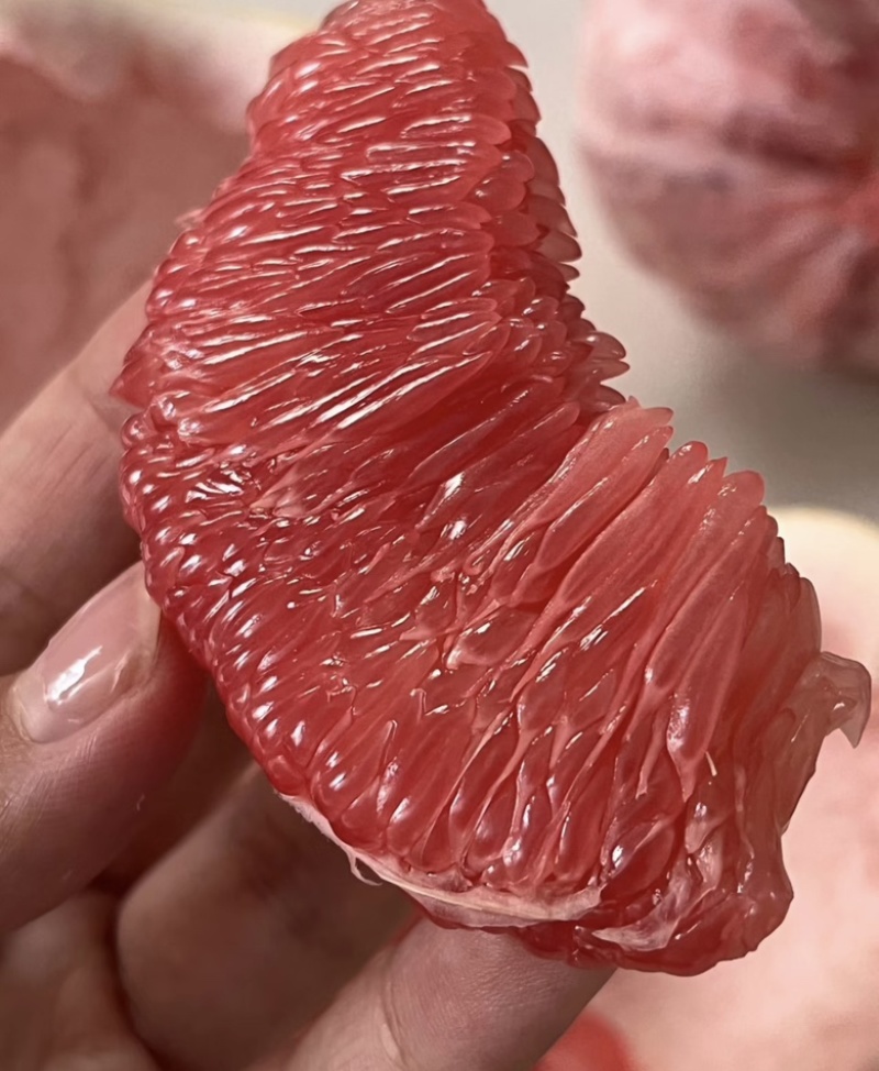 福建平和红心柚，皮薄肉多，品质保证，量大从优，欢迎选购