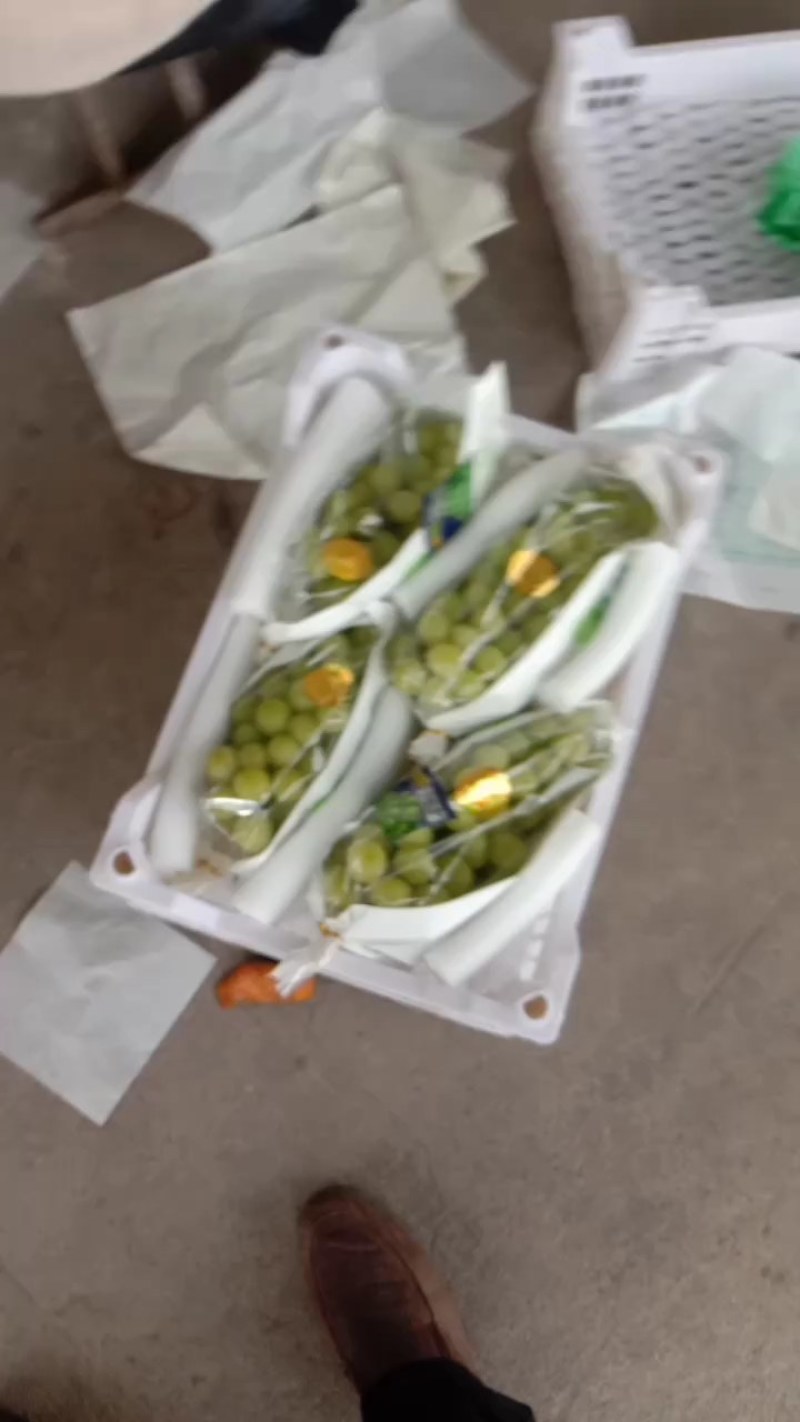 砀山优质阳光玫瑰葡萄大量上市口感密甜正在热销中货发全国