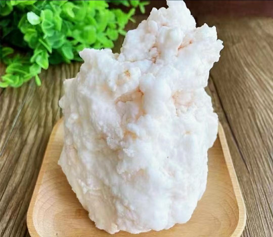 展示白肉灵芝与赤灵芝的外观对比,左侧为白肉灵芝,右侧为赤灵芝,背景为自然林下环境 白肉灵芝与赤灵芝对比图