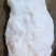 野生石太岁肉灵芝千年溶洞石太岁泡水泡茶煲汤包邮