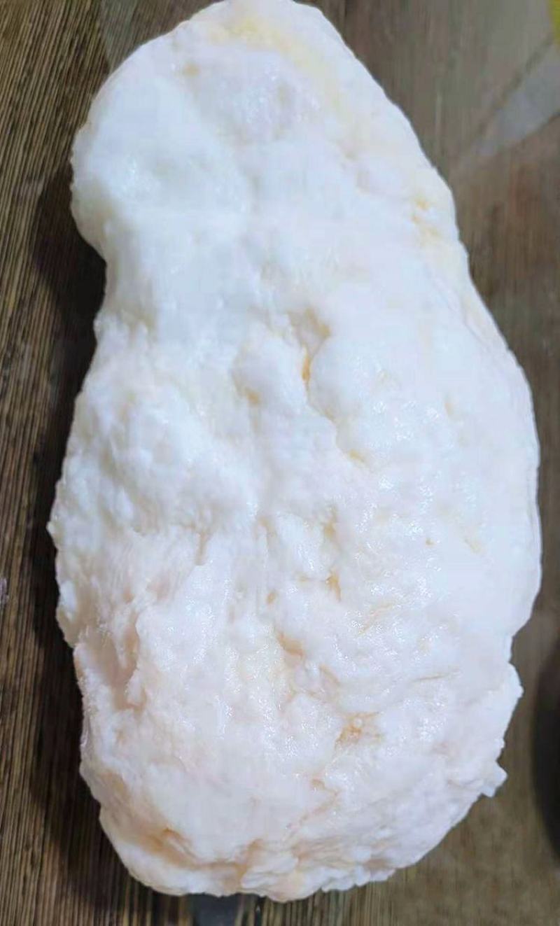 野生石太岁肉灵芝千年溶洞石太岁泡水泡茶煲汤包邮