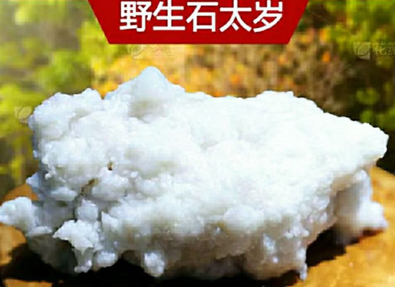 野生石太岁肉灵芝千年溶洞石太岁泡水泡茶煲汤包邮