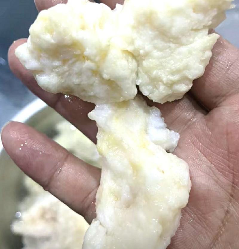 野生石太岁肉灵芝千年溶洞石太岁泡水泡茶煲汤包邮