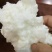 野生石太岁肉灵芝千年溶洞石太岁泡水泡茶煲汤包邮