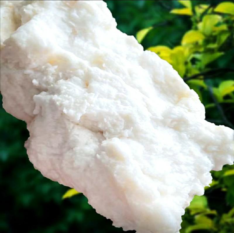 野生石太岁肉灵芝千年溶洞石太岁泡水泡茶煲汤包邮