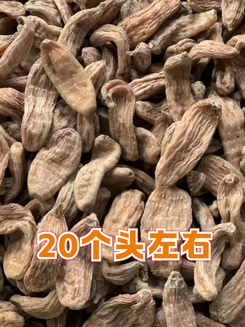 长白山天麻【一件代发】特级纯本地林下天麻现货实拍
