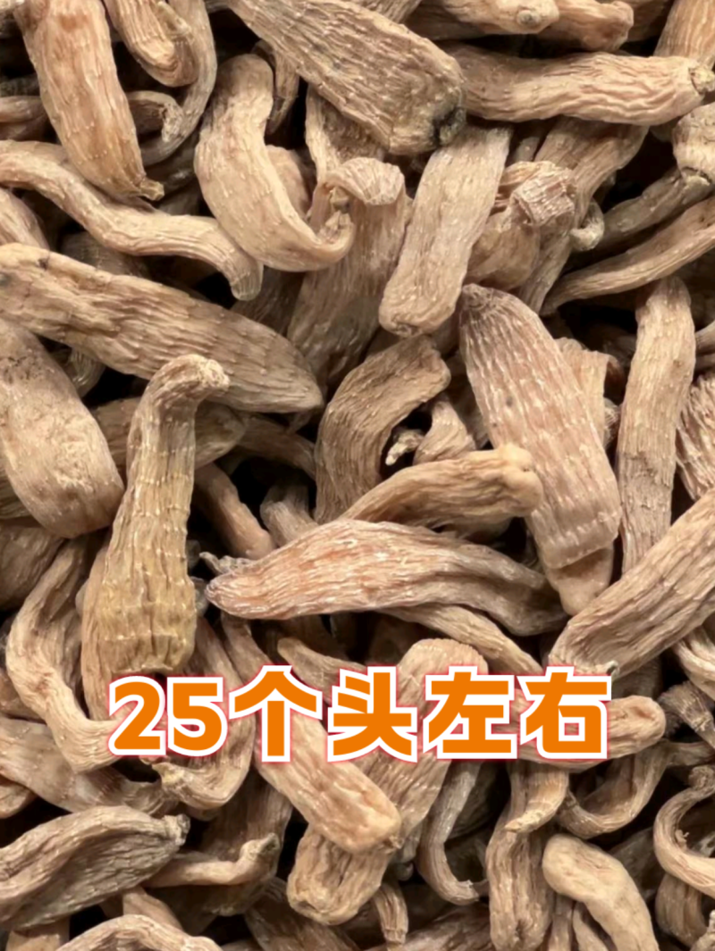 长白山天麻【一件代发】特级纯本地林下天麻现货实拍