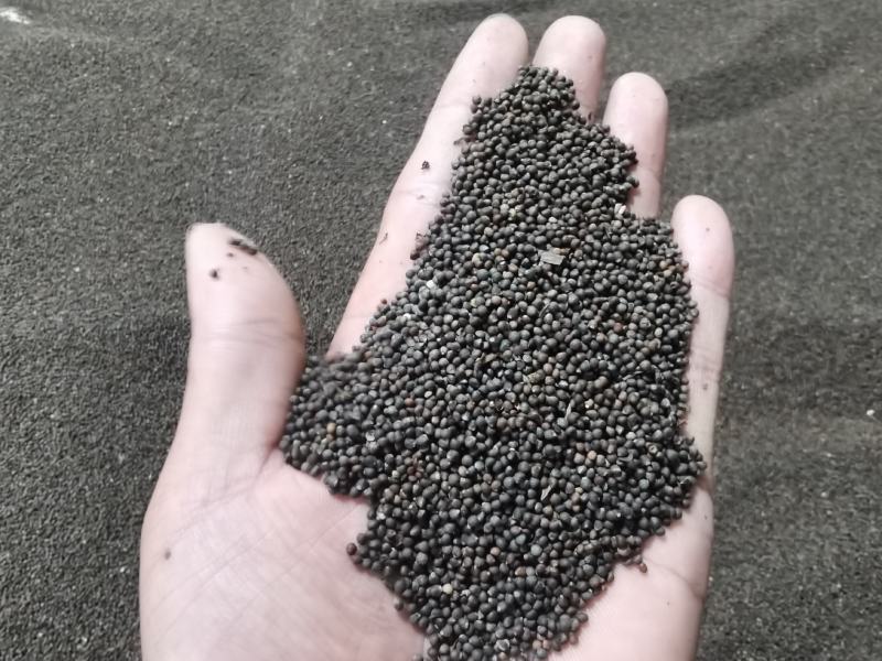 贵州紫苏子苏籽
