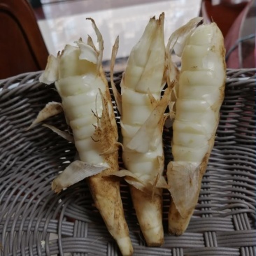 竹薯粉