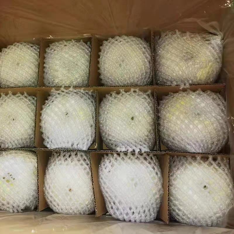 【产地直供】辽宁黄元帅苹果新鲜采摘规格齐全欢迎来电咨询