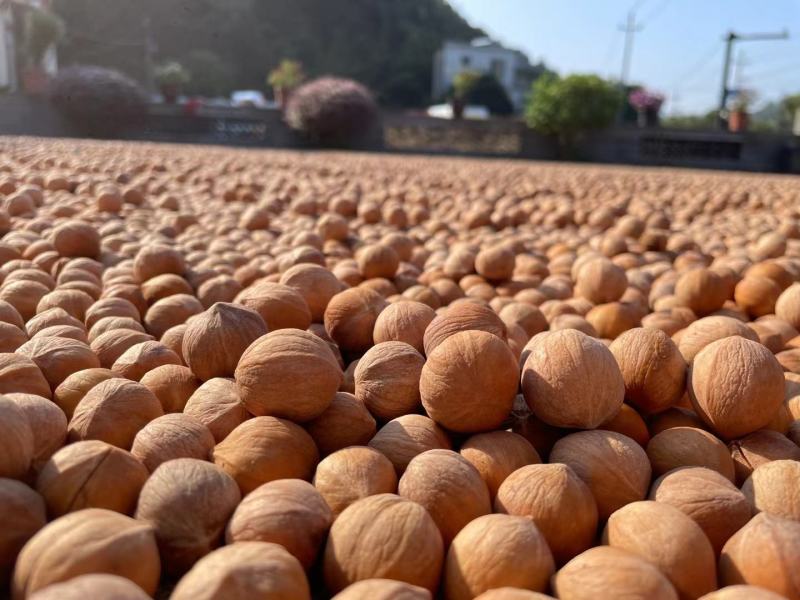 山核桃特好剥皮薄肉满皮质保证对应全国