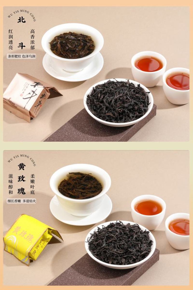 【武夷茗枞集】大红袍武夷岩茶盛宴十款茗枞礼盒装500gi