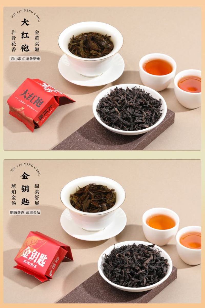 【武夷茗枞集】大红袍武夷岩茶盛宴十款茗枞礼盒装500gi