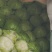 甘蓝